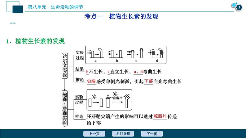 高考生物一轮复习课件第8单元　第27讲　植物的激素调节 (含解析)04