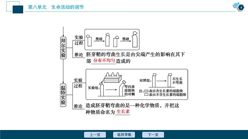 高考生物一轮复习课件第8单元　第27讲　植物的激素调节 (含解析)05