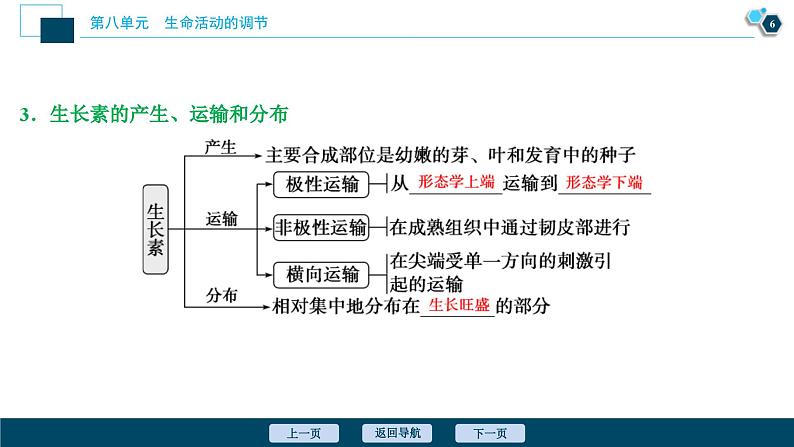 高考生物一轮复习课件第8单元　第27讲　植物的激素调节 (含解析)07