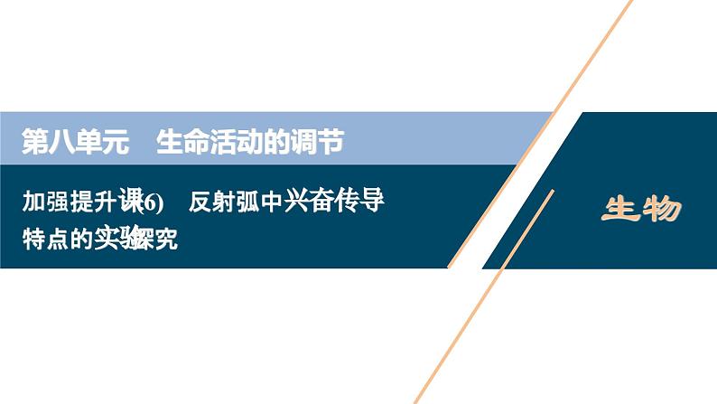 高考生物一轮复习课件第8单元　加强提升课(6)　反射弧中兴奋传导特点的实验探究 (含解析)第1页