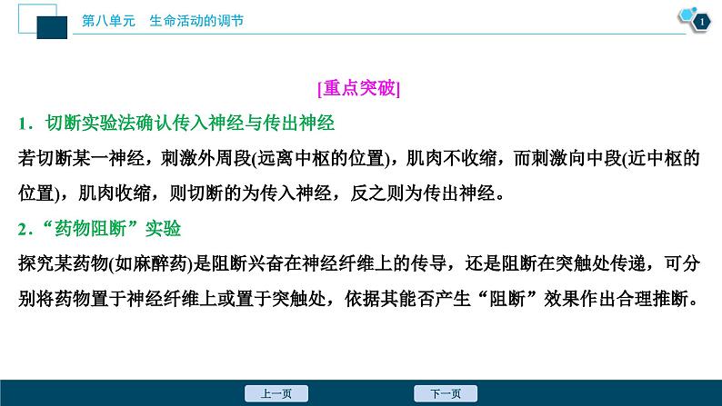 高考生物一轮复习课件第8单元　加强提升课(6)　反射弧中兴奋传导特点的实验探究 (含解析)第2页