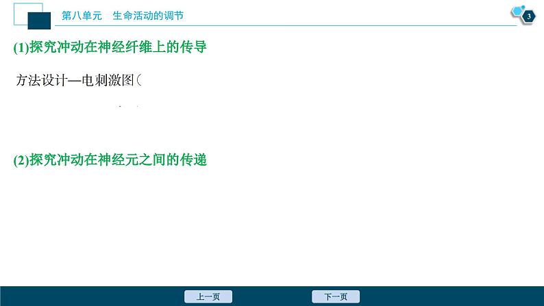 高考生物一轮复习课件第8单元　加强提升课(6)　反射弧中兴奋传导特点的实验探究 (含解析)第4页