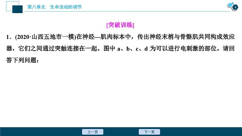 高考生物一轮复习课件第8单元　加强提升课(6)　反射弧中兴奋传导特点的实验探究 (含解析)第5页