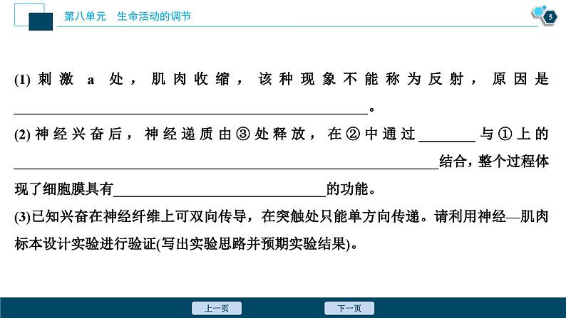 高考生物一轮复习课件第8单元　加强提升课(6)　反射弧中兴奋传导特点的实验探究 (含解析)第6页