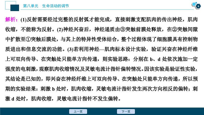 高考生物一轮复习课件第8单元　加强提升课(6)　反射弧中兴奋传导特点的实验探究 (含解析)第7页