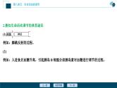 高考生物一轮复习课件第8单元　加强提升课(7)　动物生命活动调节模型及相关实验突破 (含解析)