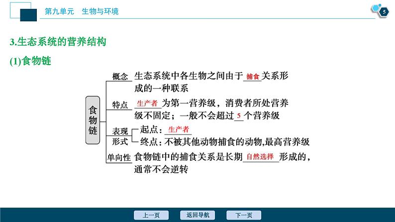 高考生物一轮复习课件第9单元　第30讲　生态系统的结构　生态系统的能量流动 (含解析)第6页