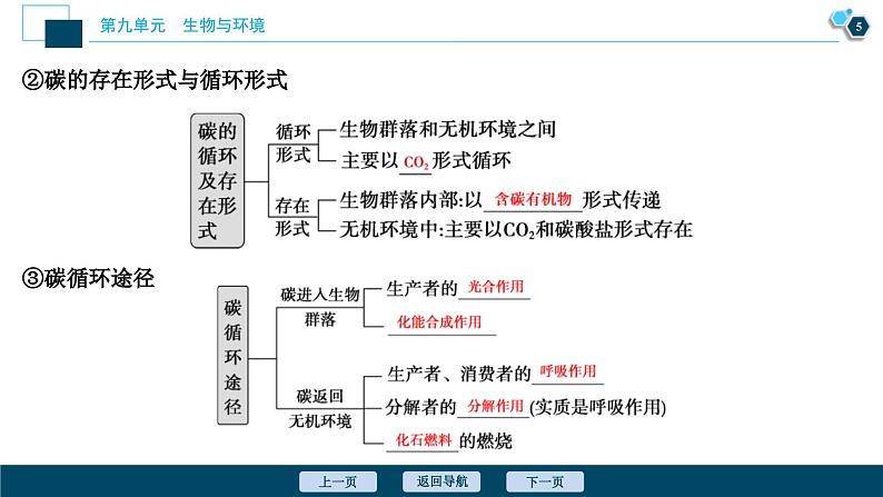 高考生物一轮复习课件第9单元　第31讲　物质循环、信息传递和生态系统的稳定性 (含解析)06