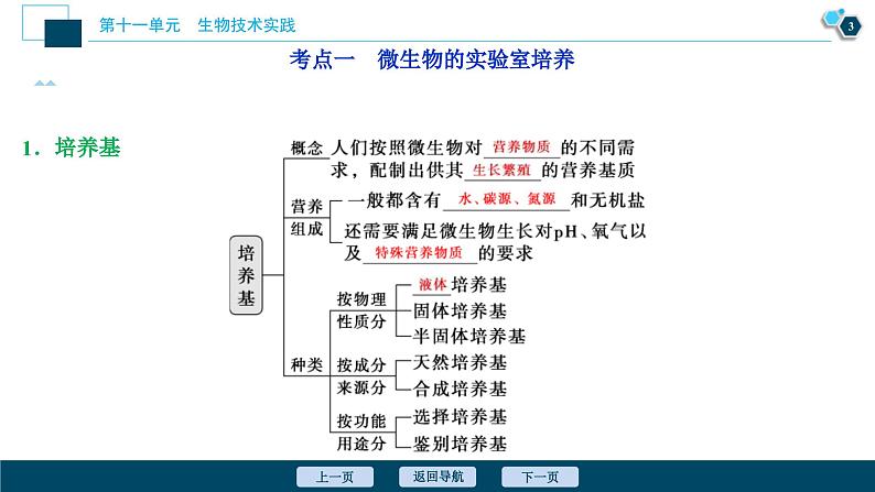 高考生物一轮复习课件第11单元　第36讲　微生物的培养与应用 (含解析)04