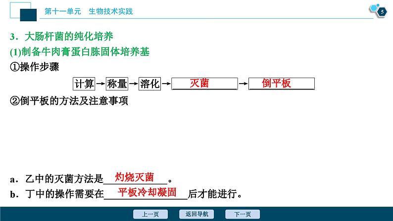 高考生物一轮复习课件第11单元　第36讲　微生物的培养与应用 (含解析)06