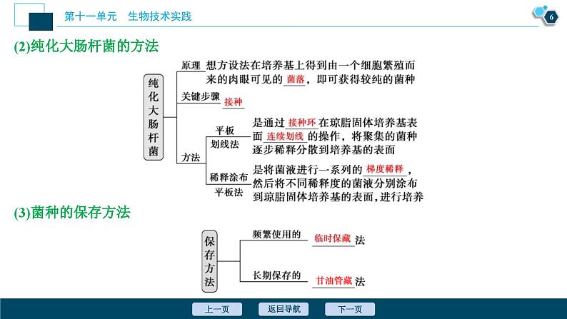 高考生物一轮复习课件第11单元　第36讲　微生物的培养与应用 (含解析)07