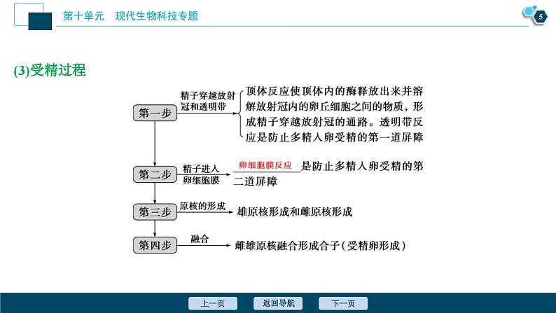 高考生物一轮复习课件第10单元　第35讲　胚胎工程与生态工程  (含解析)06