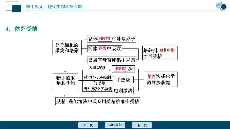 高考生物一轮复习课件第10单元　第35讲　胚胎工程与生态工程  (含解析)08