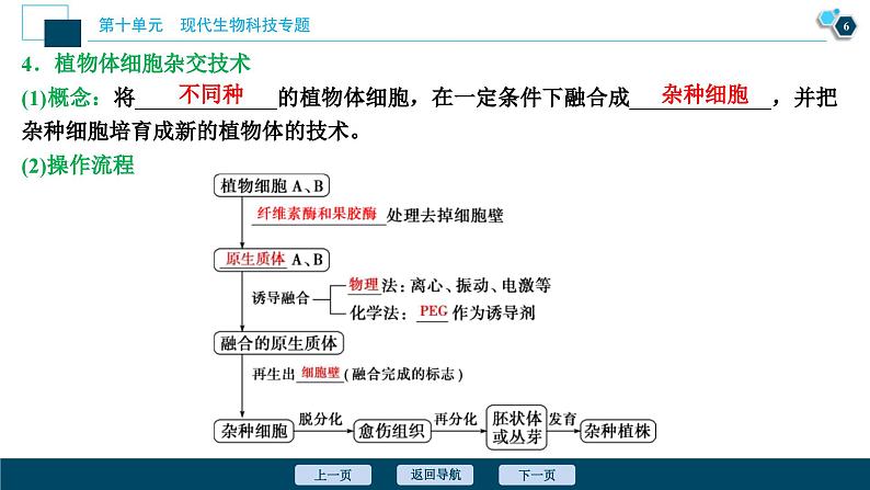 高考生物一轮复习课件第10单元　第34讲　细胞工程 (含解析)第7页