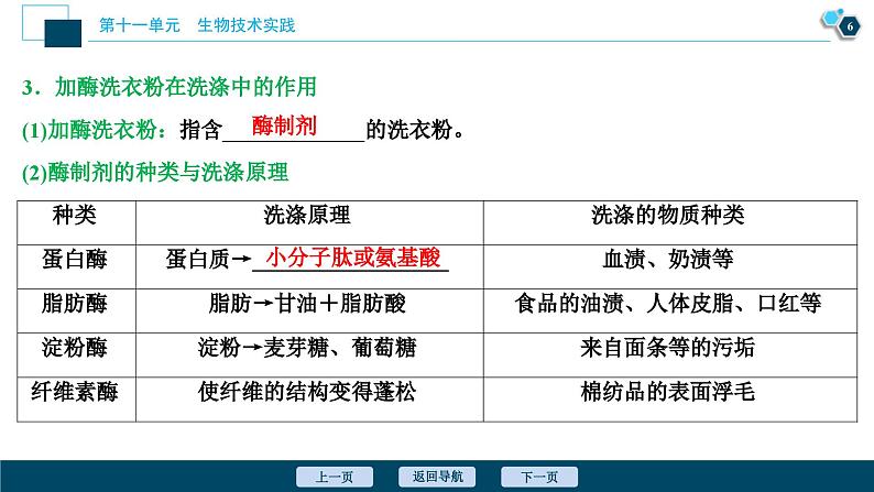 高考生物一轮复习课件第11单元　第38讲　酶与生物技术在其他方面的应用 (含解析)07