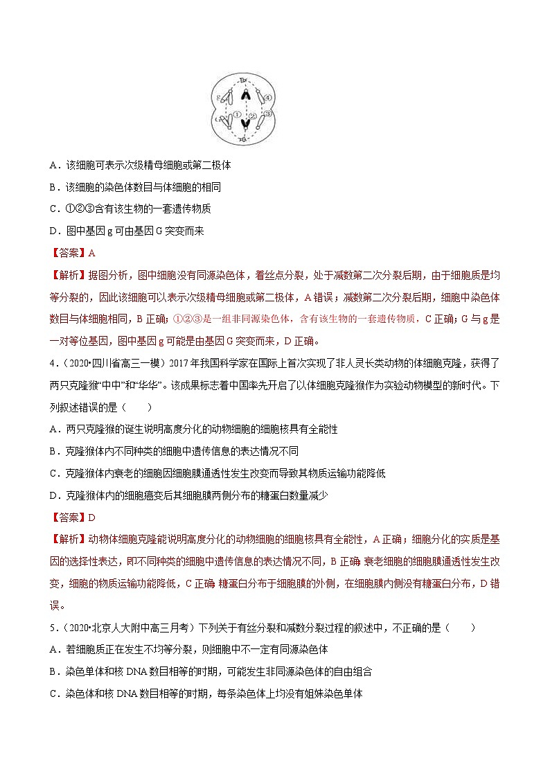 高考生物三轮冲刺考前提分练习专题03 细胞的生命历程（含解析）02