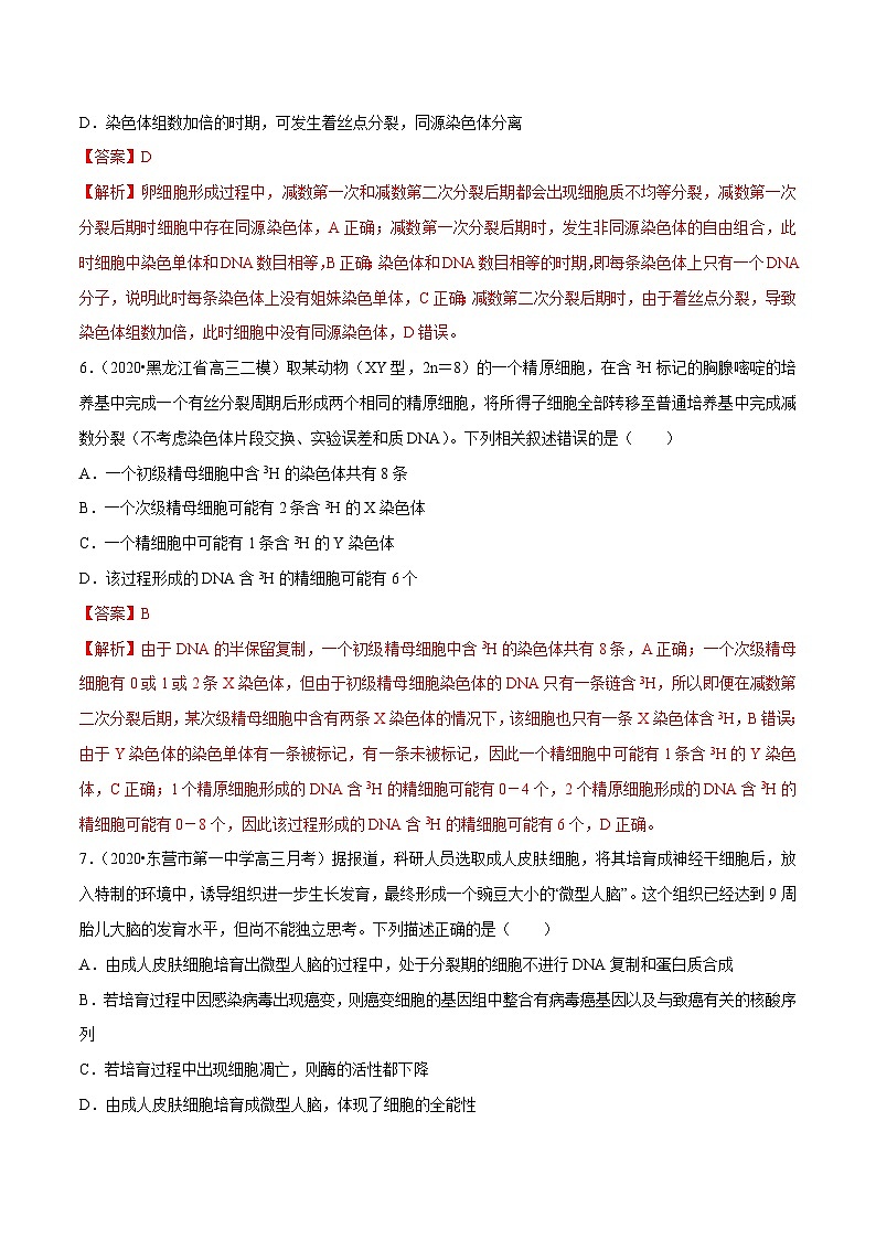 高考生物三轮冲刺考前提分练习专题03 细胞的生命历程（含解析）03