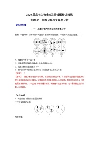 高考生物二轮复习难点精讲精练专题03 细胞分裂与变异的分析（含解析）