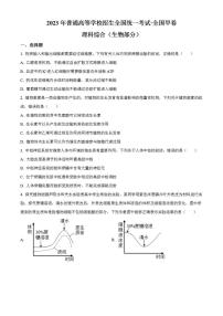 2023年高考真题——理综生物（全国甲卷）Word版含答案