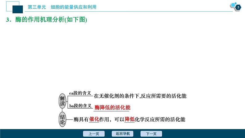 高考生物一轮复习课件第3单元　第8讲　降低化学反应活化能的酶 (含解析)第6页