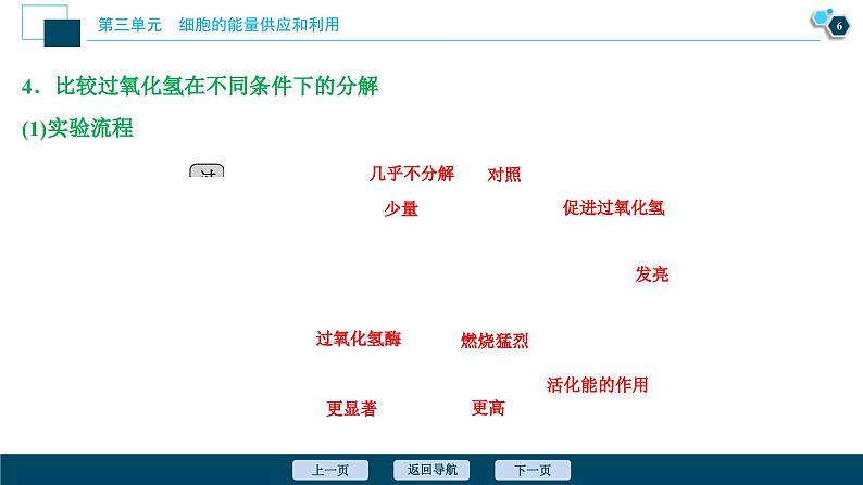 高考生物一轮复习课件第3单元　第8讲　降低化学反应活化能的酶 (含解析)第7页