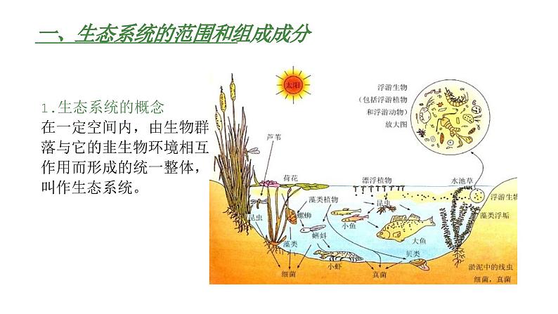 高中生物人教版（2019）选择性必修2第三章3.1《生态系统的结构》课件第4页