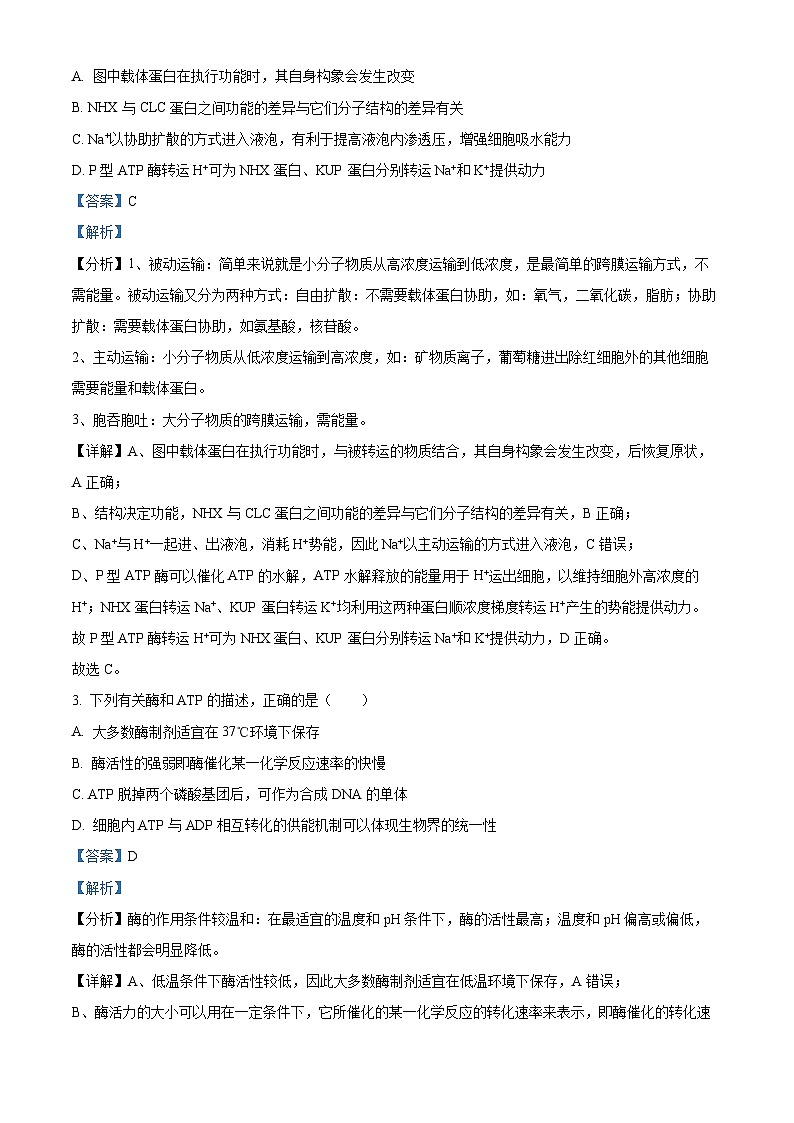 重庆市巴蜀中学2022-2023学年高一生物下学期期末试题（Word版附解析）02