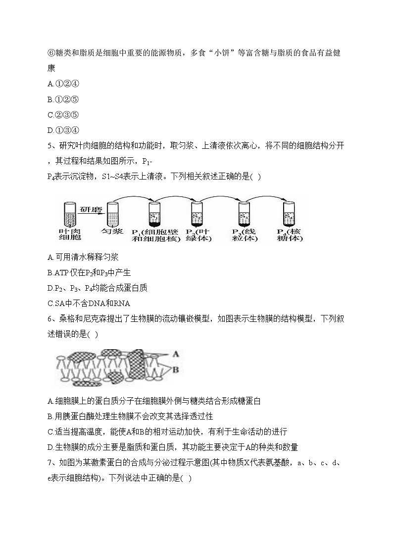 阜新市第二高级中学2021-2022学年高二下学期期末考试生物试卷（含答案）第2页