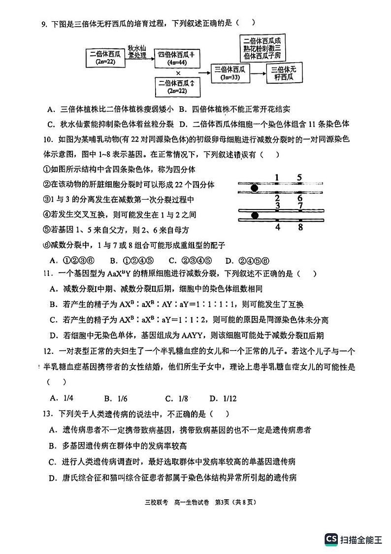 广东省广州市广外、铁一、广附三校2022-2023学年高一下学期期末联考生物试题03