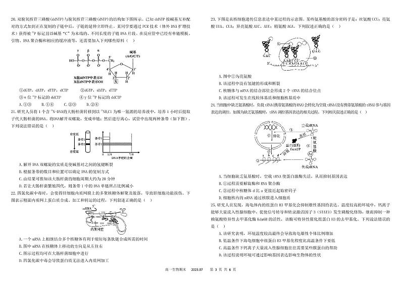 2023成都树德中学高一下学期期末考试生物PDF版含答案（可编辑）03