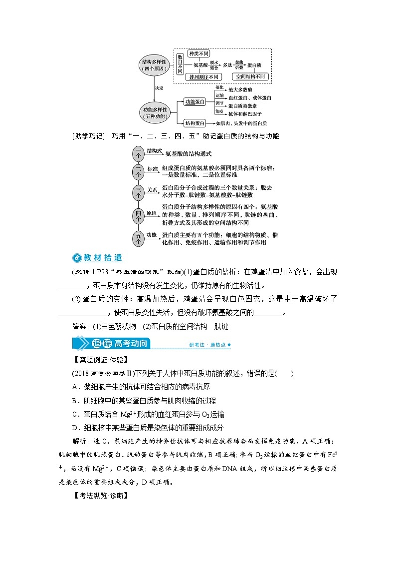 高考生物一轮复习考点过关练习第1单元　第3讲　生命活动的主要承担者 蛋白质 (含解析)第2页