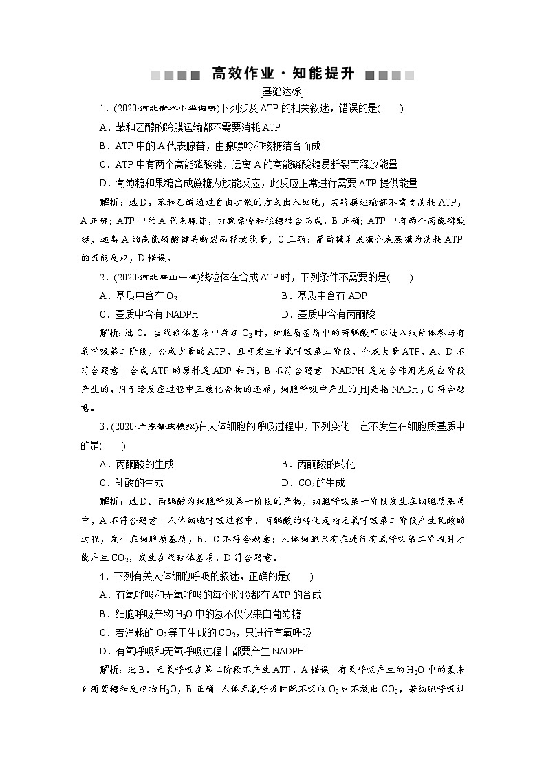 高考生物一轮复习考点过关练习第3单元　第9讲　高效作业知能提升 (含解析)第1页