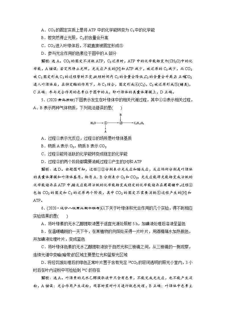高考生物一轮复习考点过关练习第3单元　第10讲　高效作业知能提升 (含解析)第2页