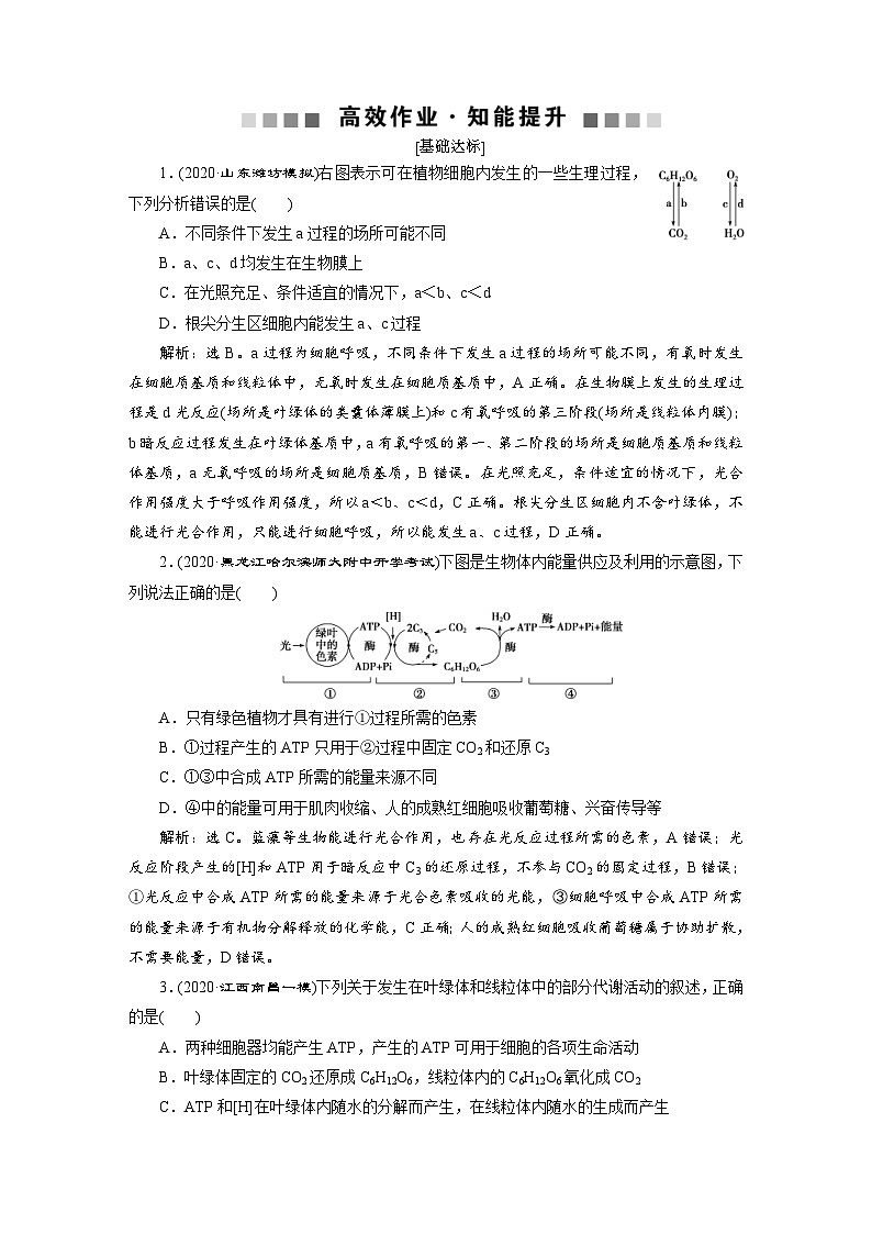 高考生物一轮复习考点过关练习第3单元　加强提升课(1)　高效作业知能提升 (含解析)第1页