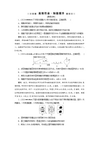 高考生物一轮复习考点过关练习第4单元　第11讲　高效作业知能提升 (含解析)