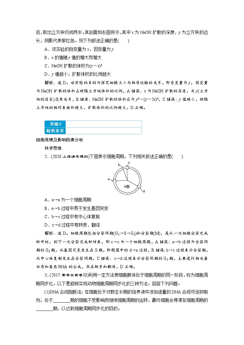 高考生物一轮复习考点过关练习第4单元　第11讲　细胞的增殖 (含解析)第3页