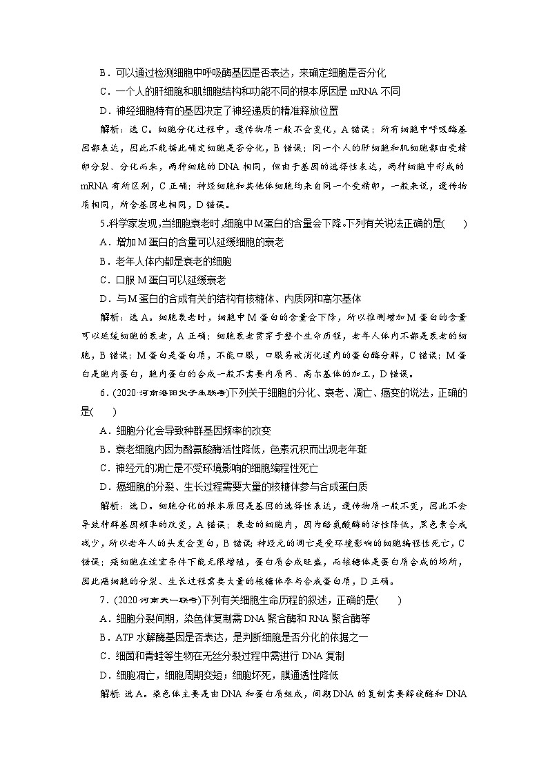 高考生物一轮复习考点过关练习第4单元　第13讲　高效作业知能提升 (含解析)第2页