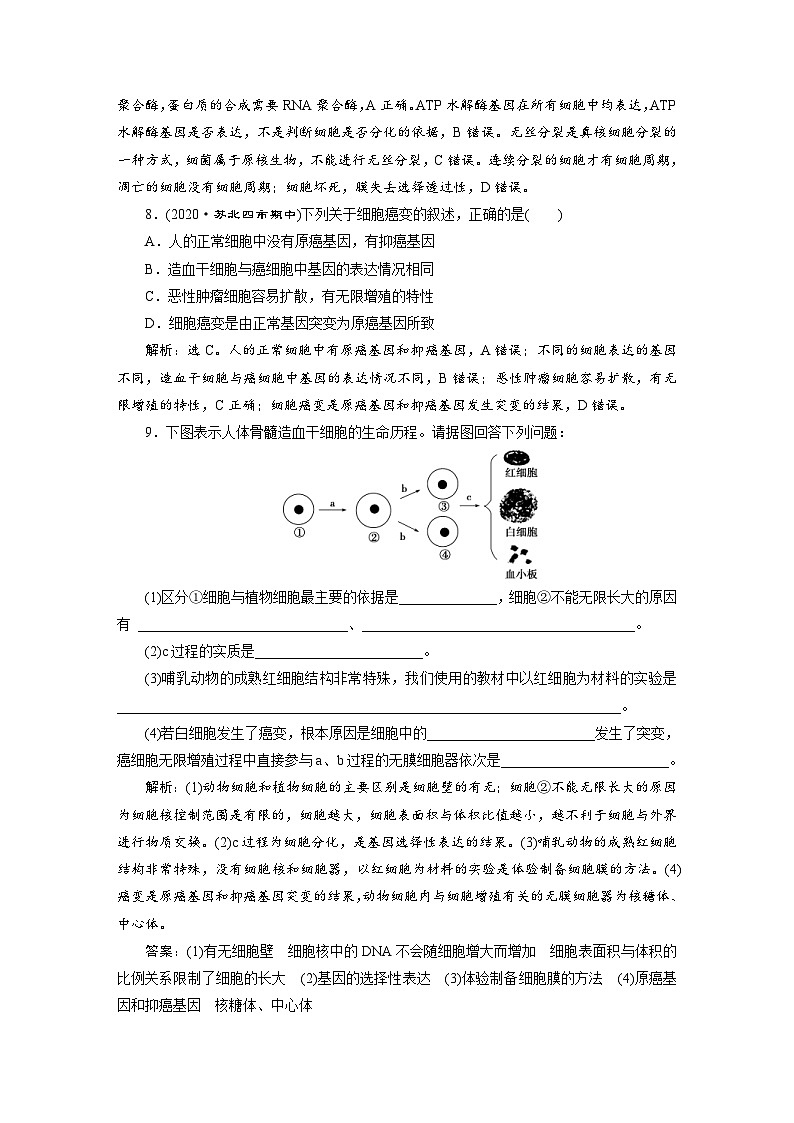 高考生物一轮复习考点过关练习第4单元　第13讲　高效作业知能提升 (含解析)第3页