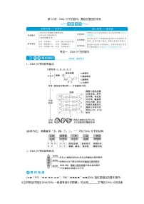 高考生物一轮复习考点过关练习第6单元　第18讲　DNA分子的结构、复制及基因的本质(含解析)