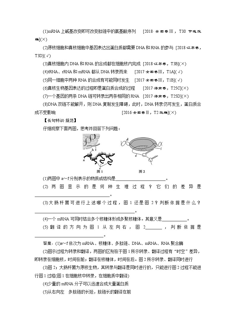 高考生物一轮复习考点过关练习第6单元　第19讲　基因的表达(含解析)第3页