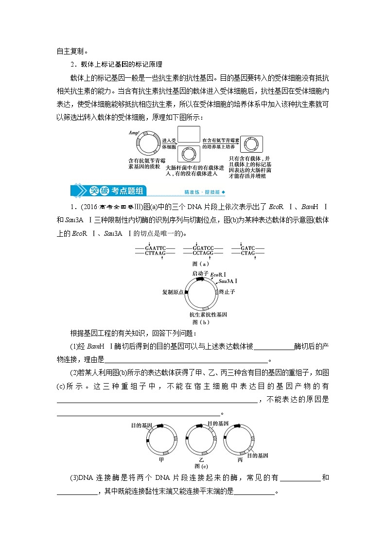 高考生物一轮复习考点过关练习第10单元　第33讲　基因工程 (含解析)03