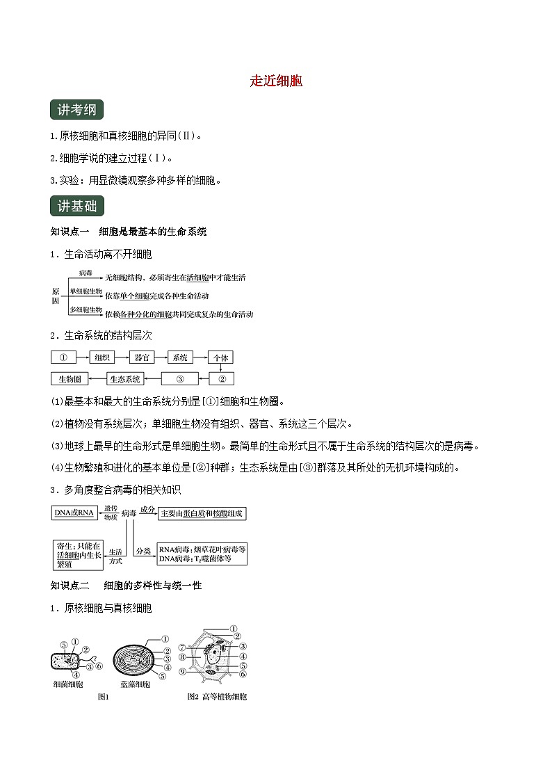 高考生物一轮复习专题1.1走近细胞精讲（含解析）第1页