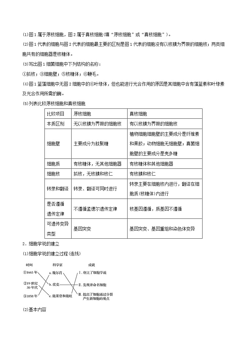 高考生物一轮复习专题1.1走近细胞精讲（含解析）第2页