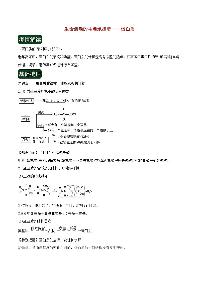 高考生物一轮复习专题1.3生命活动的主要承担者 蛋白质精讲（含解析）第1页