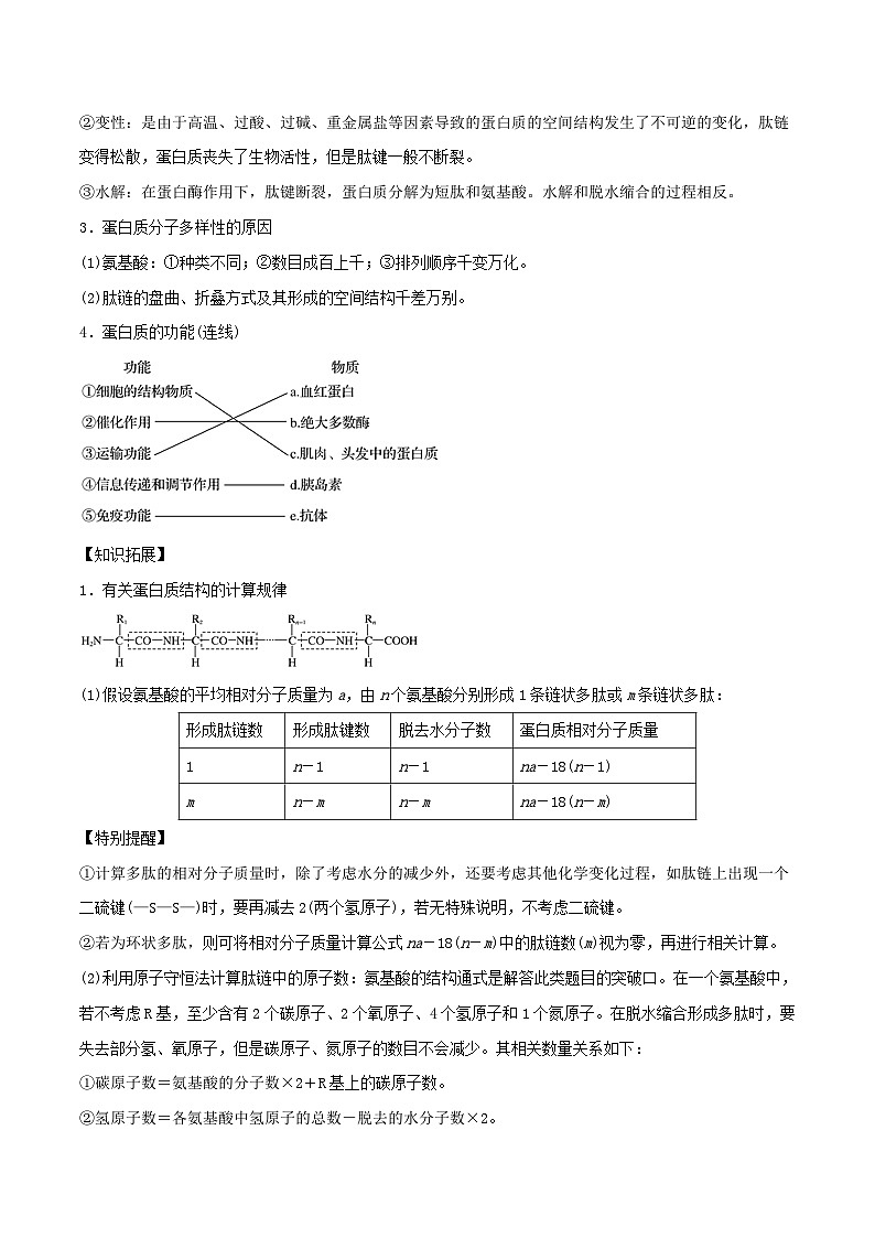 高考生物一轮复习专题1.3生命活动的主要承担者 蛋白质精讲（含解析）第2页