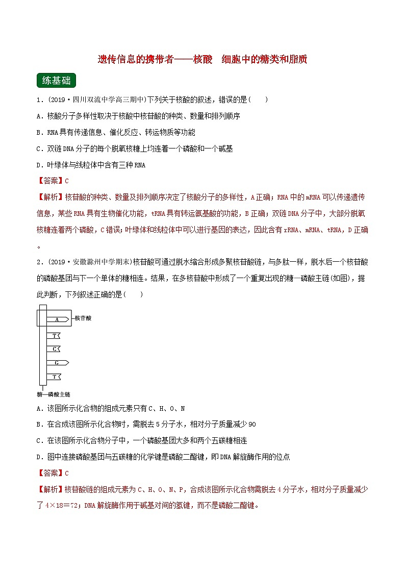 高考生物一轮复习专题1.4遗传信息的携带者 核酸精练（含解析）01
