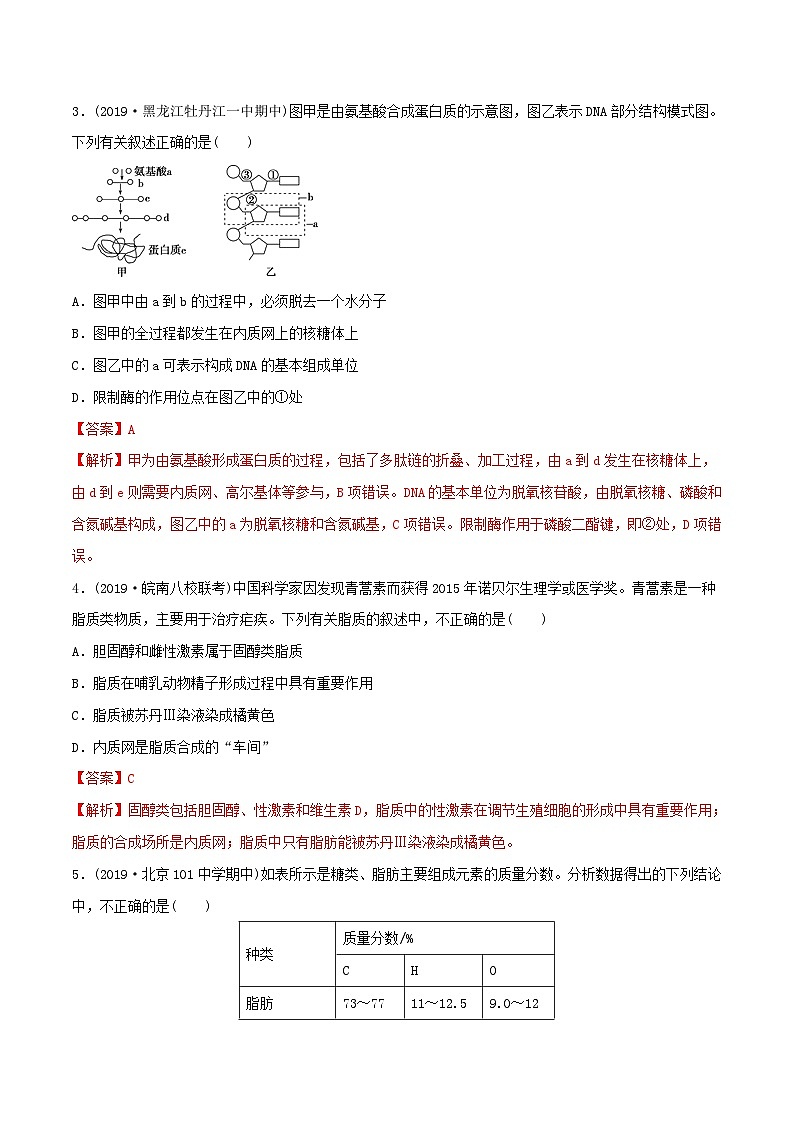 高考生物一轮复习专题1.4遗传信息的携带者 核酸精练（含解析）02