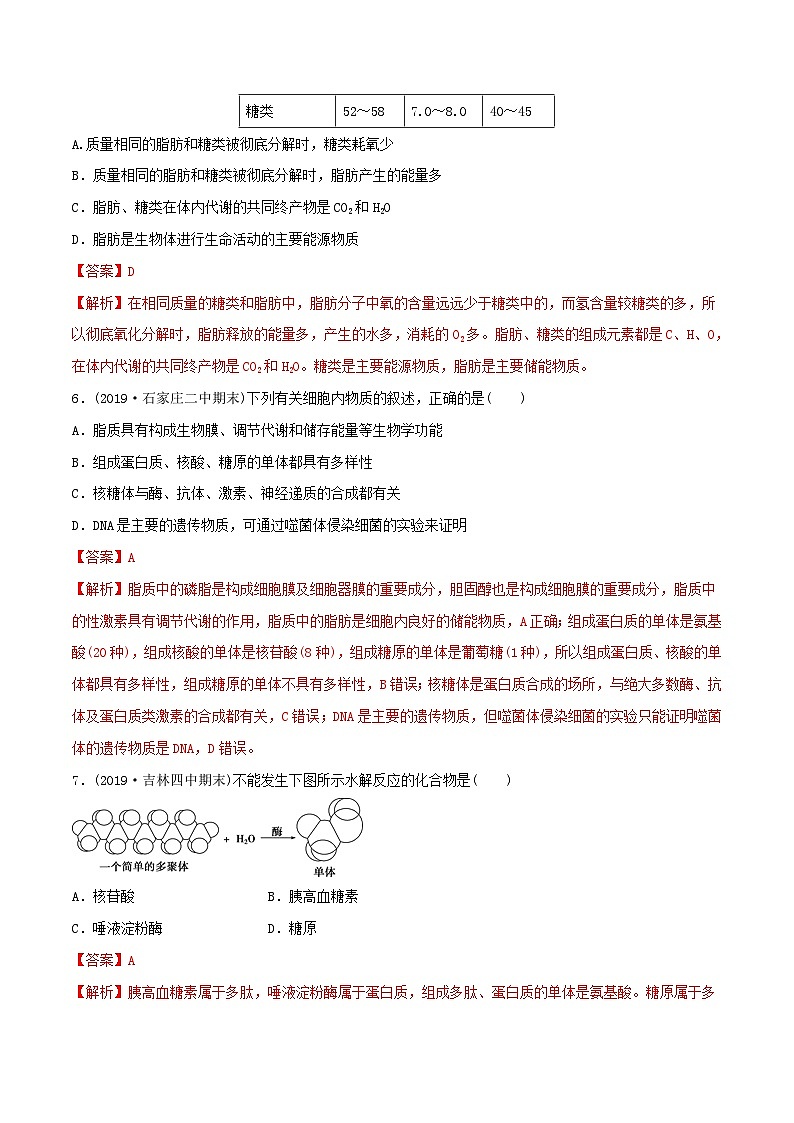 高考生物一轮复习专题1.4遗传信息的携带者 核酸精练（含解析）03