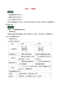 高考生物一轮复习专题2.2细胞器精讲（含解析）