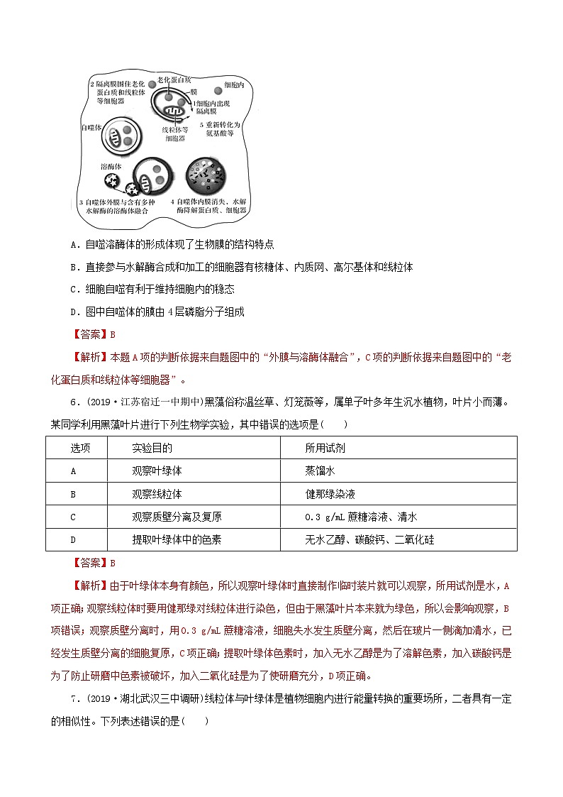 高考生物一轮复习专题2.2细胞器精练（含解析）第3页